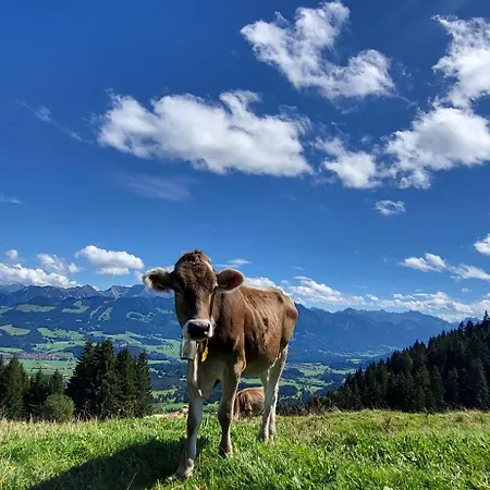 Fewo Allgaeuzeit Mit Wlan Oberstaufen Steibis Exterior photo