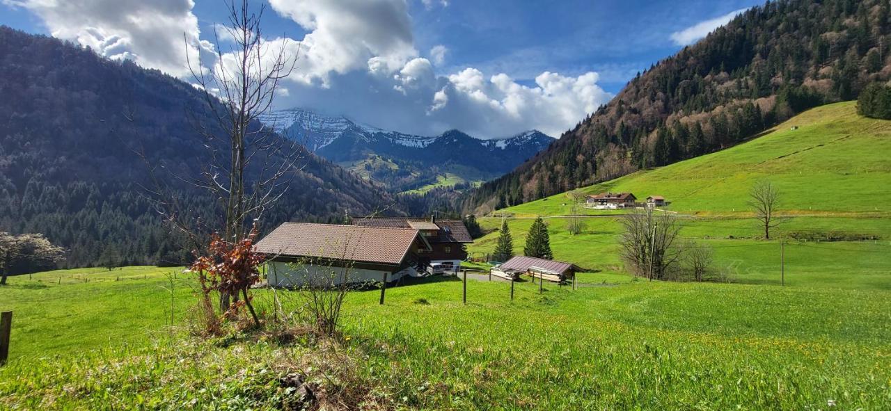 Apartment Allgaeuzeit Mit Wlan Steibis
